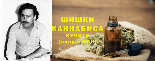 Альфа ПВП Аркадак