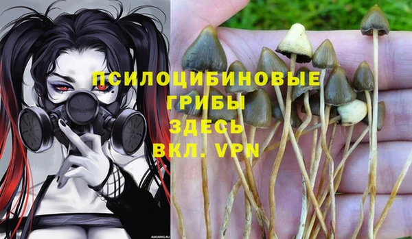 Альфа ПВП Аркадак
