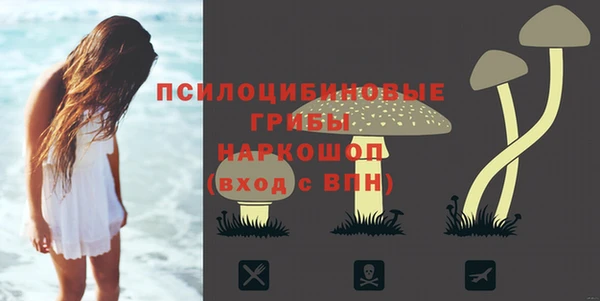 Альфа ПВП Аркадак