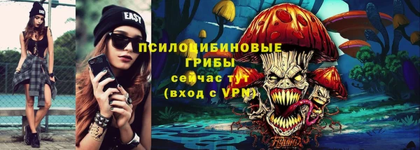 Альфа ПВП Аркадак