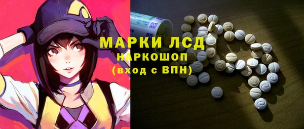 гашик Арсеньев
