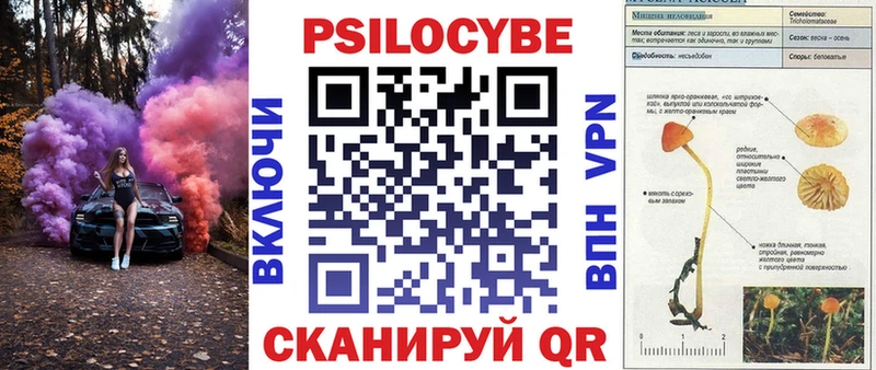 Псилоцибиновые грибы Psilocybine cubensis  как найти наркотики  Нижний Ломов 
